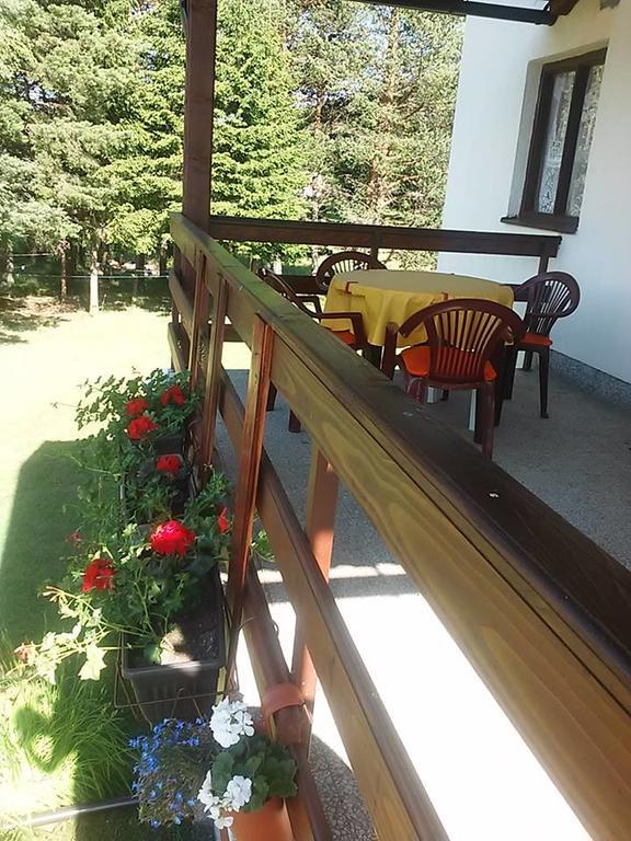 Rooms Danica Donji Babin Potok Ngoại thất bức ảnh